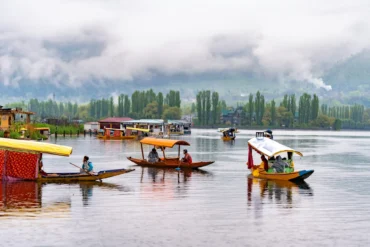 Traditional Shikaras on Dal Lake in Srinagar, Kashmir with the Zabarwan Mountains in the background.